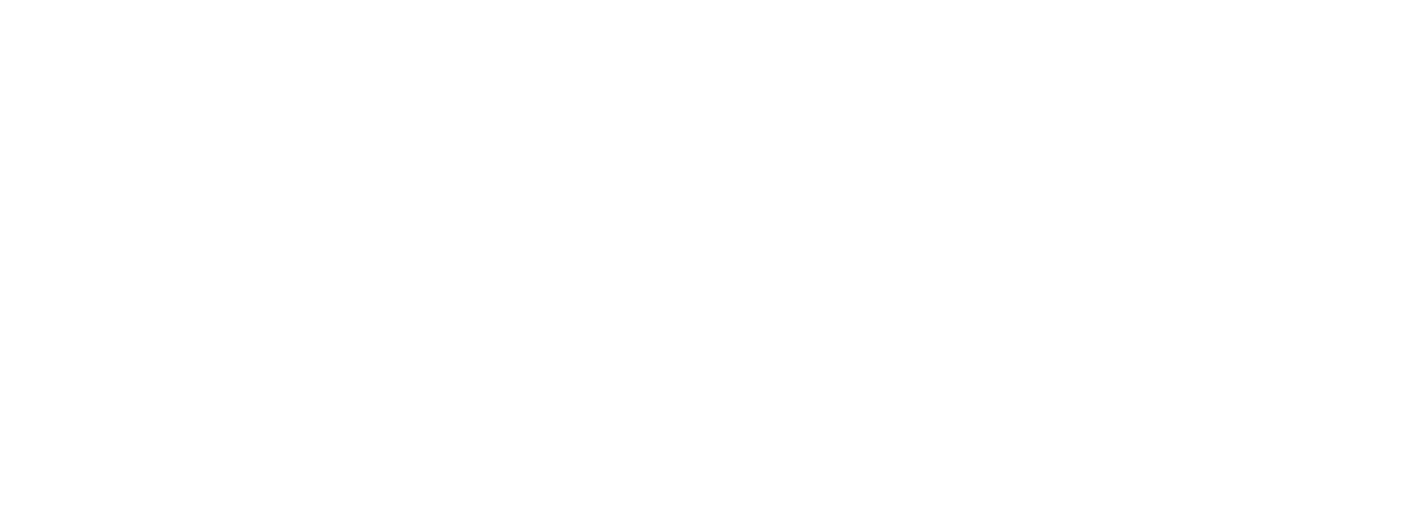 logo Transdev blanc