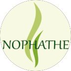 NOPHATHE Thé & Accessoire